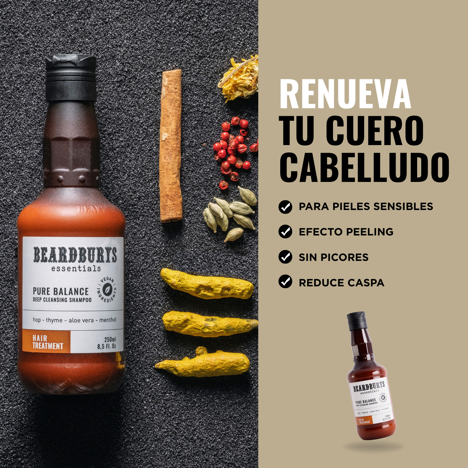 Shampoo Balance Anticaspa Refrescante